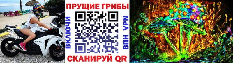 купить наркоту  Карабулак  Псилоцибиновые грибы MAGIC MUSHROOMS 