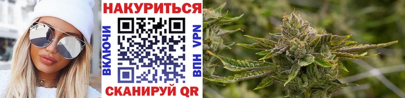Конопля сатива  закладки  Карабулак 